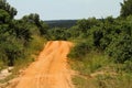 Road disappearing into the Jungle Royalty Free Stock Photo