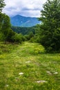 Road disappearing into the mountains of Abkhazia