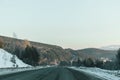 Road disappears behind the beautiful juniper tree in the sunny and frosty winter landscape