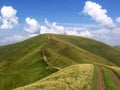 The road into the distance Royalty Free Stock Photo