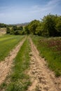 Road down the hill in between of fields, Czechia Royalty Free Stock Photo