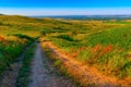 The road down from the hill. Royalty Free Stock Photo