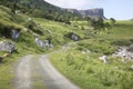 Road down to Slavers Bay, Murlough Beach; County Antrim