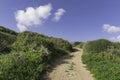 Road between the dunes covered with green grass against the background of the sea and sky Royalty Free Stock Photo