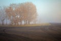 The road in the early misty autumn morning