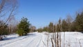 Road at the edge of the forest. Royalty Free Stock Photo