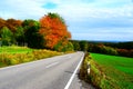 road into Elztal near DÃÂ¼ngenheim with colorful autumn trees Royalty Free Stock Photo