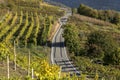 Road between empty vineyards during autumn season, Valtellina, Italy.