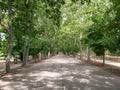 Road enabled for the walk of citizens and bicycle sports located in the country house of Madrid