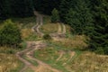 road in european mountain forest. Hiking trail in Carpathian Mountains, Ukraine. Tourist routes Royalty Free Stock Photo