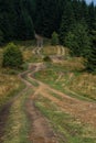 road in european mountain forest. Hiking trail in Carpathian Mountains, Ukraine. Tourist routes Royalty Free Stock Photo