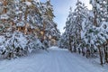 Road through the evening winter forest at sunset