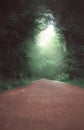 The road and the fairy forest Royalty Free Stock Photo