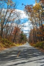 Road in a fall forest