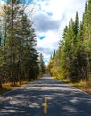 Road in a fall forest