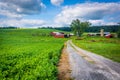 Road and farm in rural Baltimore County, Maryland. Royalty Free Stock Photo