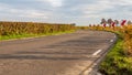 Provincial road with dangerous curve marking Royalty Free Stock Photo