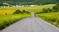 Road between farms that goes to the town of Arteta