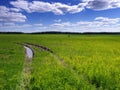 Road through field.