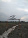 Road on field ,cloudy sky background