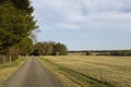 A road and field lines with trees in Spotsylvania, Virginia