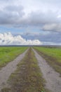 Road in a field of rye, storm clouds in the sky