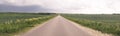 Road in the field, stormy sky