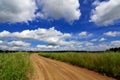 Road through the field under beautiful sky in the clouds Royalty Free Stock Photo