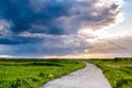 Road through the field Royalty Free Stock Photo