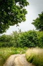 Road between fields Royalty Free Stock Photo