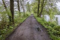 Road among fishing ponds in Poland Royalty Free Stock Photo