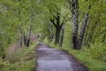 Road among fishing ponds in Poland Royalty Free Stock Photo