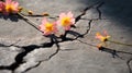 road flower asphalt Royalty Free Stock Photo