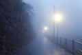 Road in fog dawn