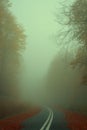 Road with fog in the forest Royalty Free Stock Photo