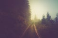 Road in the fog of the mountain forest. Royalty Free Stock Photo