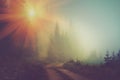 Road in the fog of the mountain forest at sunrise.