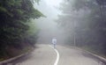 Road in foggy forest, lonely girl hiker walks away in scary woods Royalty Free Stock Photo