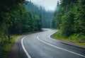 Road in foggy forest in rainy day in spring Royalty Free Stock Photo