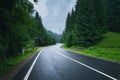 Road in foggy forest in rainy day in spring. Beautiful mountain Royalty Free Stock Photo
