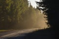 Road in foggy morning Royalty Free Stock Photo