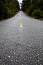 Road through forest Royalty Free Stock Photo