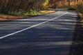 Road in the forest Royalty Free Stock Photo