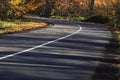 Road in the forest Royalty Free Stock Photo