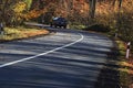 Road in the forest Royalty Free Stock Photo