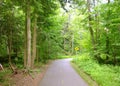 Road in forest Royalty Free Stock Photo