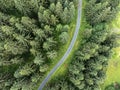 Road in a forest from above Royalty Free Stock Photo