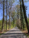 Road through the forest around Vorden Royalty Free Stock Photo