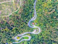 Road through forest in autumn. Aerial Drone Shot