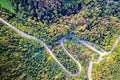 Road through forest in autumn. Aerial Drone Shot